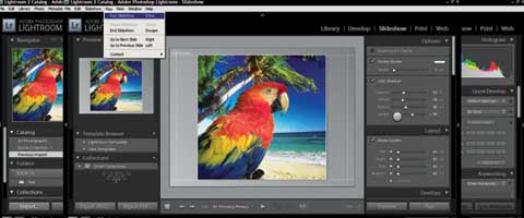 Графическая программа Adobe Photoshop