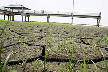Засуха в Калифорнии, 2007 год