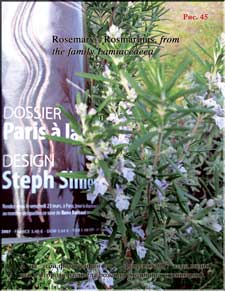 Розеола (Rosemary – Rosmarinus, from the family Lamiaceaea)