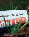 Ирис или Петушки Iris germanica в январе