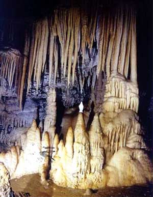 Как я потом узнала, пещера и вправду называется – Кафедральная (Сathedral) и существует до сих пор. 
Пещеры Лонгрив (Longrives), Languedoc